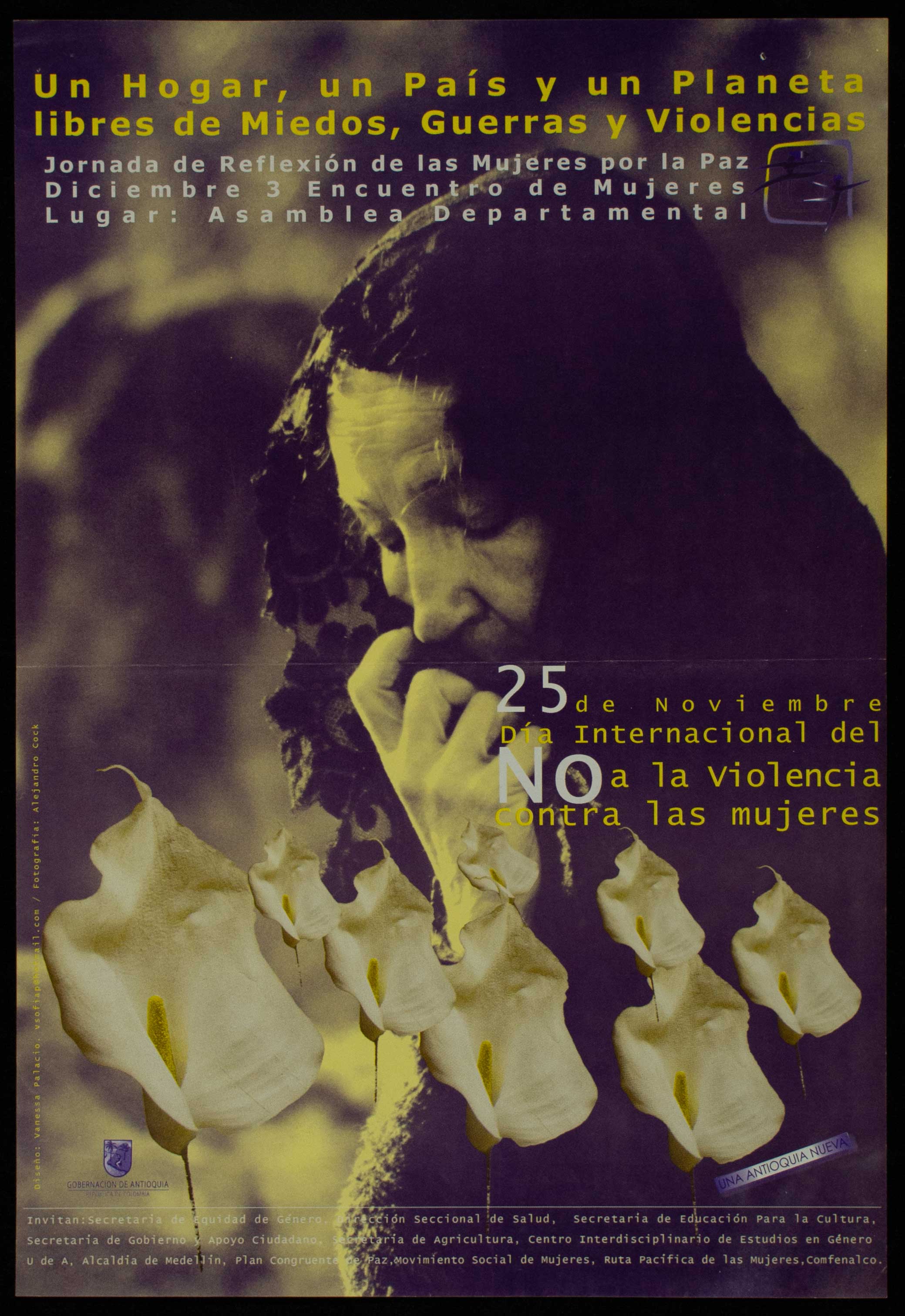 Imagen 8